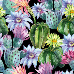 Naklejka moda egzotyczny natura roślina meksyk