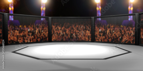 Fotografie, Obraz 3D Rendered Illustration of an MMA, mixed martial arts, fighting cage arena