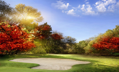 Wall Mural - golf course