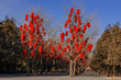 Geschmückte Bäume im Ditan-Park am Pekinger Erdtempel