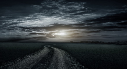 Canvas Print -  Beautiful, rural, dirt road between fields