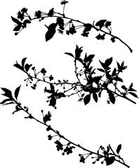 Wall Mural - sakura three black spring branch silhouettes