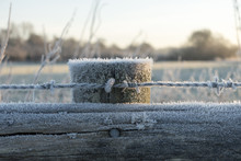 Frosty Barbed Wire