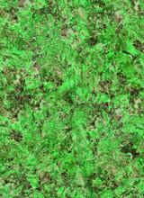 Green Rock Seamless Texture Macro