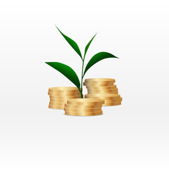 Growing plant on coin money for finance and banking concept