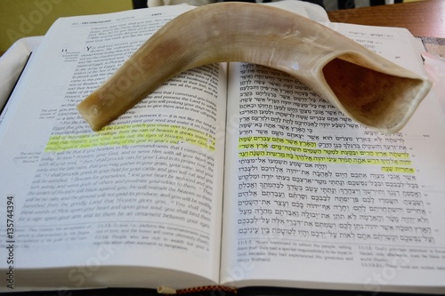 Plakat Noworoczny róg barana Biblia Torah Rosz Haszana shofar granat