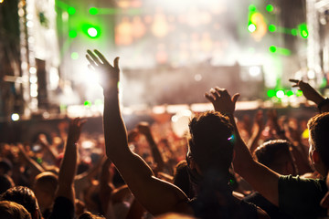 Wall Mural - Crowd at music festival.