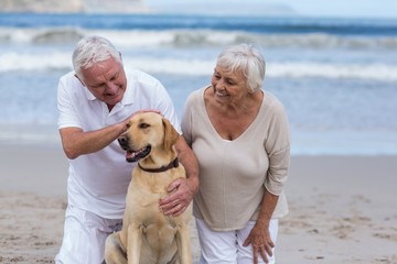 Wall Mural - Senior couple playing with their dog on the beach