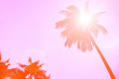 Silhouette coconut palm tree with lens flare, retro orange color