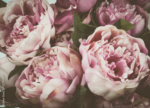 Cuadros en Lienzo Vintage peony flowers background.