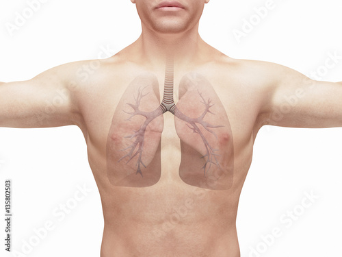 Plakat 3d zdrowi płuca odpłacają się mężczyzna