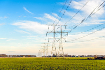 Wall Mural - Seemingly endless row of power pylons in an agricultural landsca