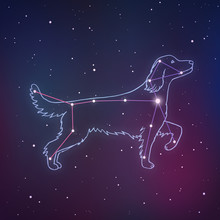 Vector Illustration Of Canis Major. Dog Constalletion Hand-drawn Background. Astrology Picture With Stars On Space Gradient Background.