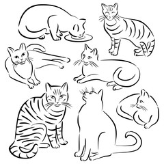 Cat Line Designs_Set 3