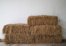 Bales Of Rice Straw In Countryside
