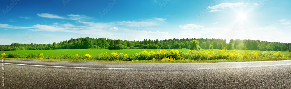 asphalt road panorama in countryside on sunny spring day - obrazy, fototapety, plakaty 