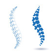 © pikovit - Vector  human spine isolated silhouette illustration. Spine pain medical center, clinic, institute, rehabilitation, diagnostic, surgery logo element. Spinal icon symbol design. Concept of scoliosis