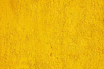 Wall Mural - yellow decorative plaster bark beetle