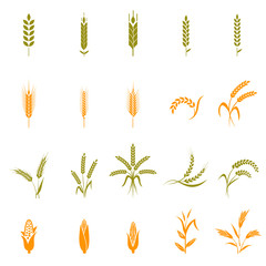 Wall Mural - Wheat ears or rice icons set.