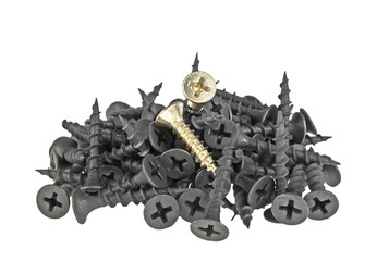 Poster - Gold screws in a pile of black screws isolated on white backgrou