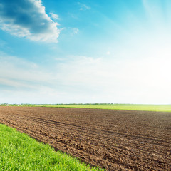 Wall Mural - black and green agricultural fields and sunset in blue sky