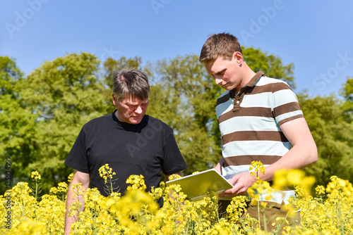 Foto Landwirtschaftliche Ausbildung, Azubi und Meister im Rapsfeld