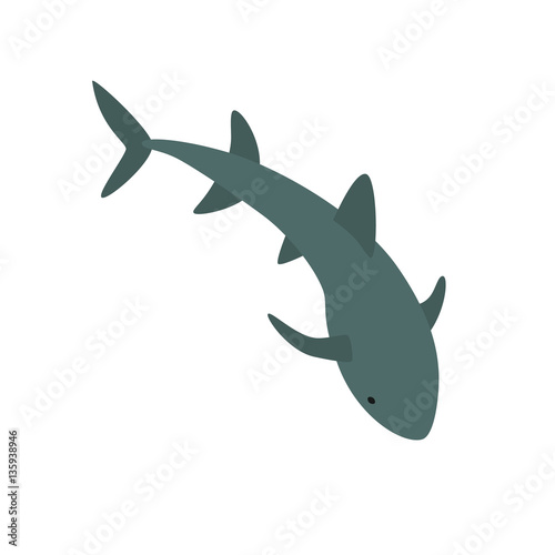 Download Nurse Shark vector illustration - Acquista questo ...