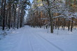 Leśna droga zimą.
