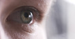 © GCapture - Closeup of teenage girl eye without makeup looking straight, 4k photo