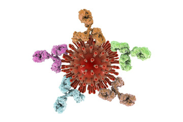 Poster - HIV and antibodies, 3D illustration. Concept for treatment of HIV infection and AIDS