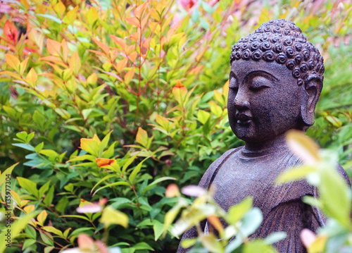 Buddha sculpture in garden