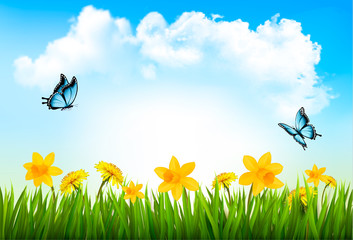 Poster - Nature background with green grass, flowers and a butterfly. Vec