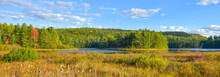 Sunny Summertime Marsh Wetlands Mixed With Boreal Forest Woodland Wilderness As Viewed From The Roadside Of An Ontario, Canada Highway. 