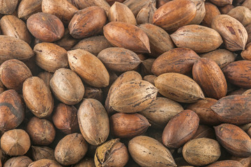 Natural Stack of Peacan Nuts Patterns and Textures