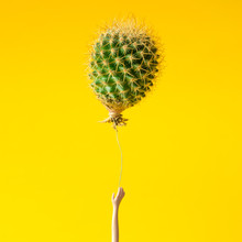 Doll Hand Reaching For Cactus Balloon On Yellow Background. Crea