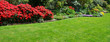 beautiful garden with azalea