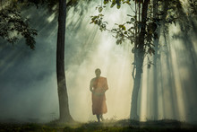 Vipassana Meditation Monk Walks In A Quiet Forest.