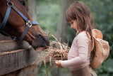 Fototapeta Konie - Cute girl feeding her horse in paddock