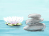Fototapeta Desenie - Hand drawn colorful colorful water-lily and stones, illustration by pencil