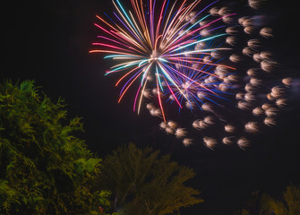 fireworks and trees against the black sky