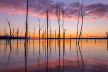 Manasquan Reservoir At Dawn