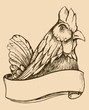 Rooster sketch