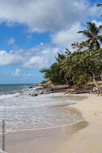 Martinique Plage De Ste Luce Buy This Stock Photo And