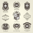 Luxurious heraldic emblems and badges with shields and crowns