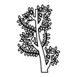 © Gstudio - tree branch isolated icon vector illustration design