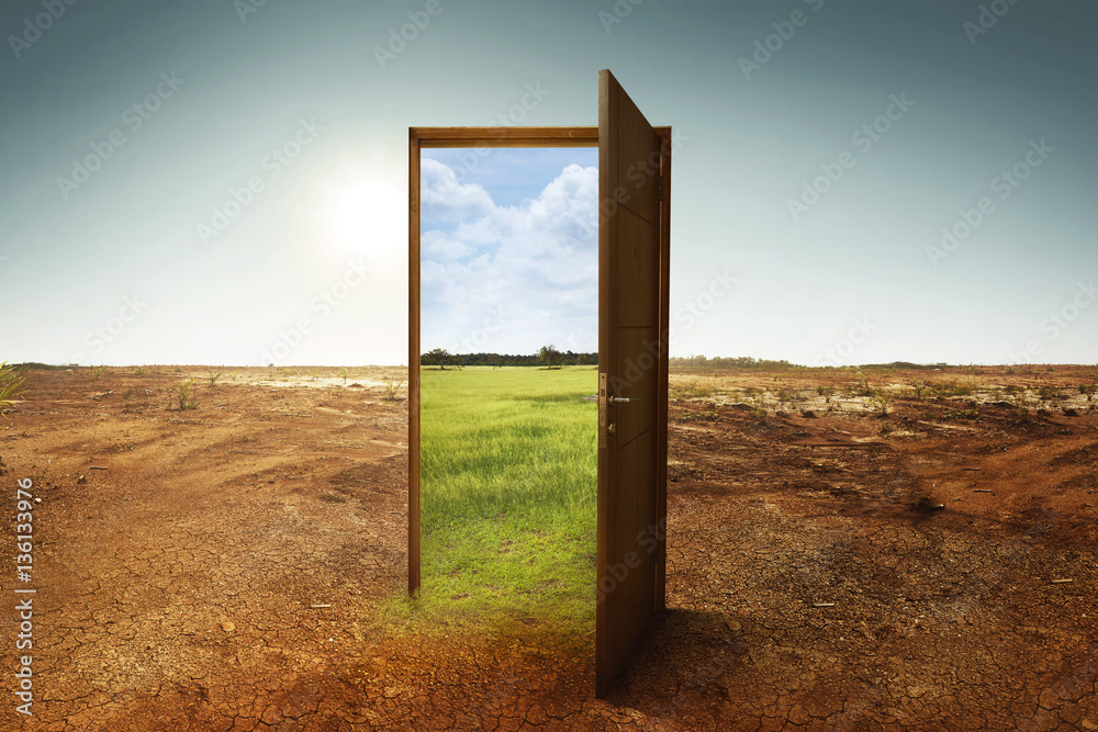 Open wooden door to the new world with green environment - obrazy, fototapety, plakaty 