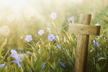 Poster - wooden cross and purple flower with sunlight