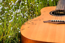The Guitar With Meadow Background