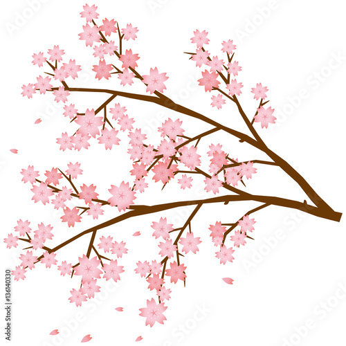 桜 枝のイメージイラスト Stock Vector Adobe Stock