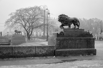 Wall Mural - Foggy Petersburg, statue of a lion at the Admiralty embankment, St Petersburg, Russia